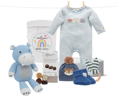 Baby Boy Snuggles Hamper